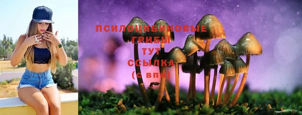 мяу мяу мука Белокуриха
