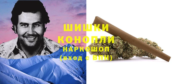 мяу мяу мука Белокуриха