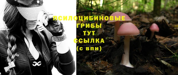 мяу мяу мука Белокуриха