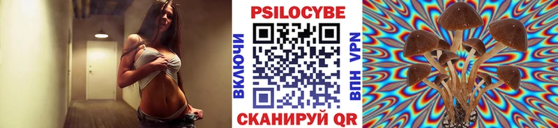 Псилоцибиновые грибы Magic Shrooms  даркнет сайт  Вилючинск 